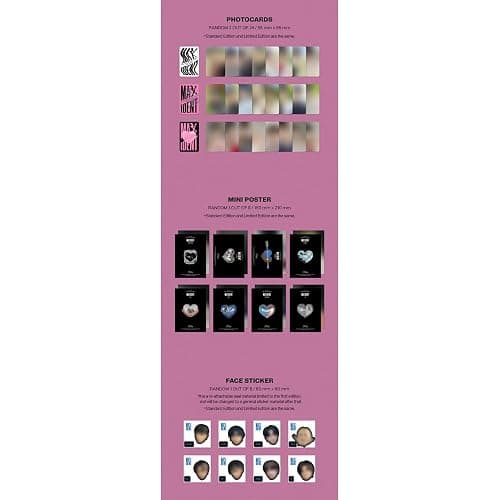 dreamus Stray Kids [ MAXIDENT ] LIMITED EDITION album GO ver thumbnail 5