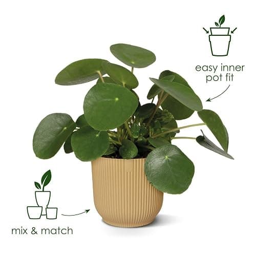 elho Vibes Fold Round 16 - Flower Pot from 100% Recycled Plastic - Indoor Plant Pot - Ø 16.1 x H 14.8 cm - Black/Anthracite thumbnail 4