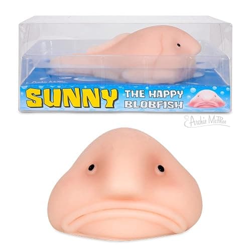 Accoutrements Sunny The Blobfish - Novelty Toy- Squishy Toy - Image 1