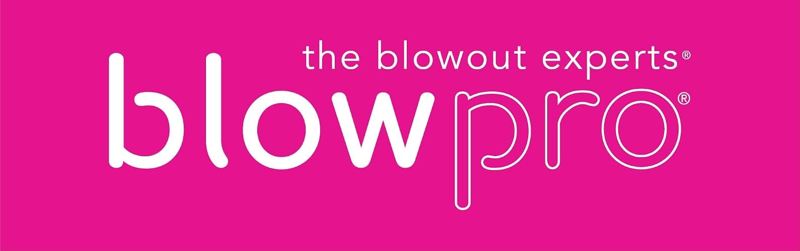 blowpro KISS Edition Titanium Dryer, Reduces Drying Time, 3 Speed & Temp Settings, Pure-Air Tech, 6-White LED Lights, Removable Filter, Cool Shot Button, Comes w/Concentrator! thumbnail 9