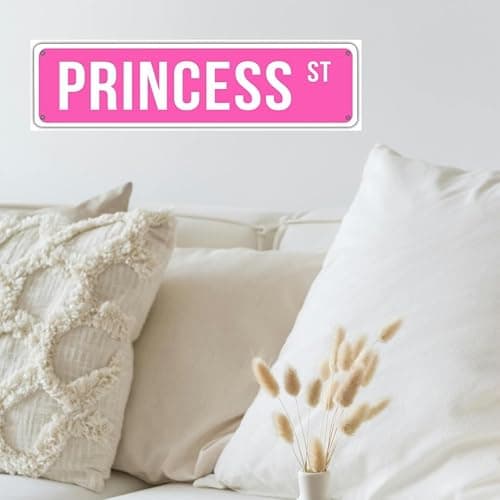 Princess Street Sign Pink Princess Room Decor Pink Princess St Tin Sign Y2k Wall Decor For Girl Bedroom Vintage Girly Wall Art Poster Metal Sign Girls Cave 4x16 Inch thumbnail 3