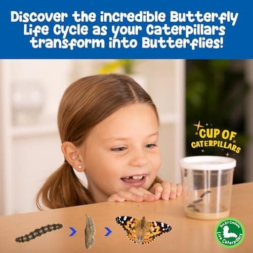 Insect Lore Butterfly Farm™  thumbnail 10