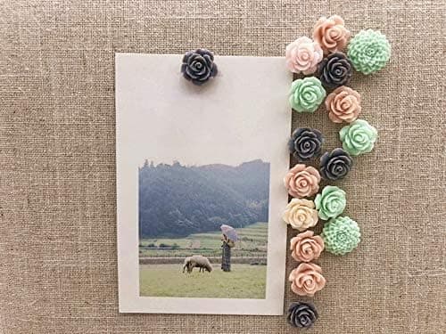 24Pcs Decorative Pushpins,Cork Board Tacks,Bulletin Board Tacks,Thumb Tack Decorative for CorkBoard, Office Organization or Home thumbnail 6