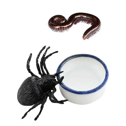 6 Pcs Spider Micro Water Bowl Mini Ceramic Dish for Spider Tarantula Millipede Tiny Reptile (Small: 0.86" D, 0.43" H) thumbnail 4