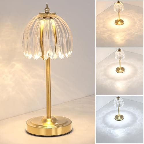 Shenmoyl Tulip Table Lamp with 5000mAh Battery & Touch Control, Cordless Small Table Lamp with 3 Colors, Dimmable Rechargeable Table Lamps for Living Room, Bedroom, Desk, Bedside (Transparent Tulip) - Image 1