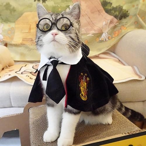 ANIAC 3PCS Halloween Dog Costume Cat Wizard Cape Glasses and Necktie Set Halloween Puppy Outfit Pet Academy Academy Magician Cosplay Apparel for Kitten Cat Small Dogs (Black+Red, Medium) thumbnail 4