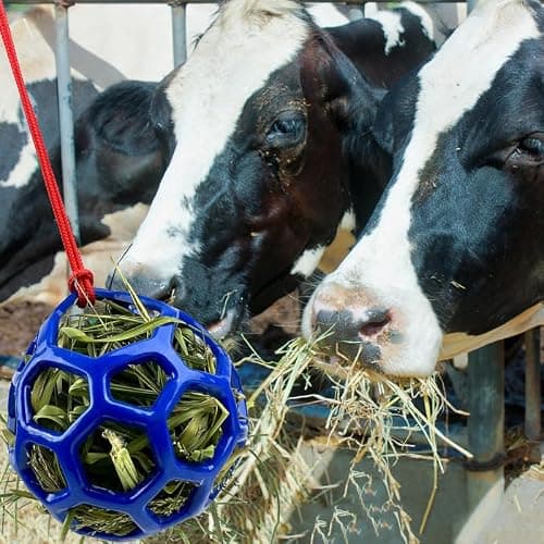 DAFORERAL Farm Stall Hanging Feeder Toy Ball for Horses, Goats, Sheep – Durable TPR Feeding Ball, Hay Feeder for Animal Enrichment, Stretch-Resistant Design (Pink) thumbnail 8