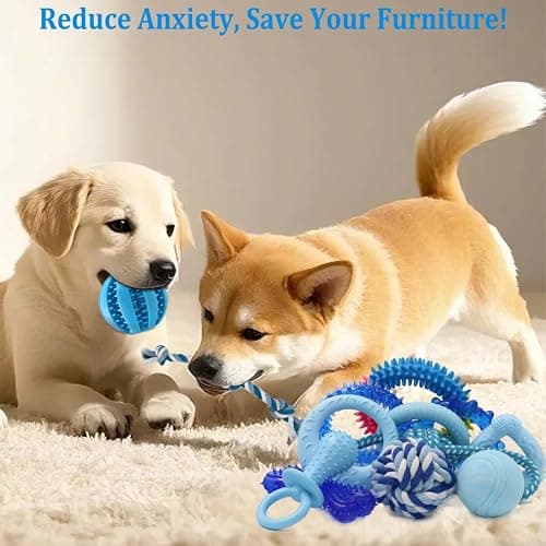 Beiker 20 Pack Puppy Chew Toys - Blue Dog Teething Toys for Puppies, Puppy Teething Rings and Ropes, Blue Rubber Toy Bundle for Small Dogs, Cute Interactive Dog Balls for Small Breed thumbnail 4