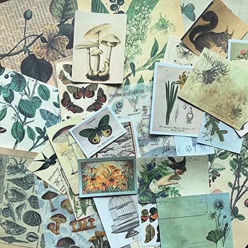 DESEACO Vintage Aesthetic Posters for Wall Decor, Green Botanical Art for Teen Girls’ Rooms, Cute Plant Journaling Supplies and Nature-Inspired Collage Kit thumbnail 6