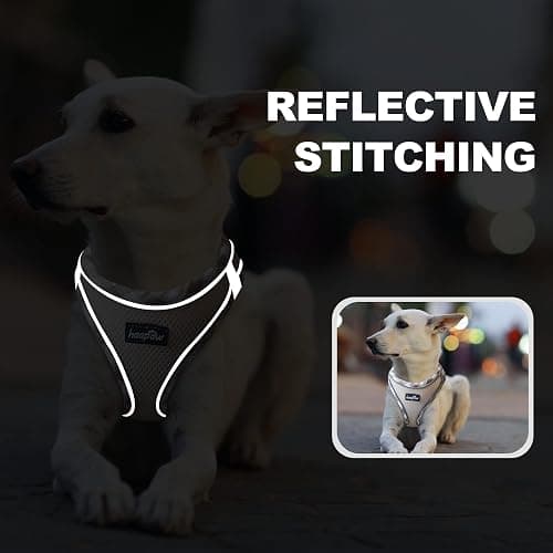 haapaw Dog Harness with Leash Set, No Pull Adjustable Reflective Step-in Puppy Harness with Thickened Padded Vest for Extra-Small/Small Medium Dogs thumbnail 5