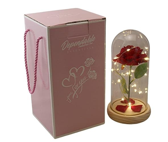 Eternal Red Rose in Glass Dome with LED Lights – Light Up Artificial Rose Décor – Romantic Gift for Women with Gift Box for Anniversary, Birthday, Valentine’s Day, or Holiday Season thumbnail 6