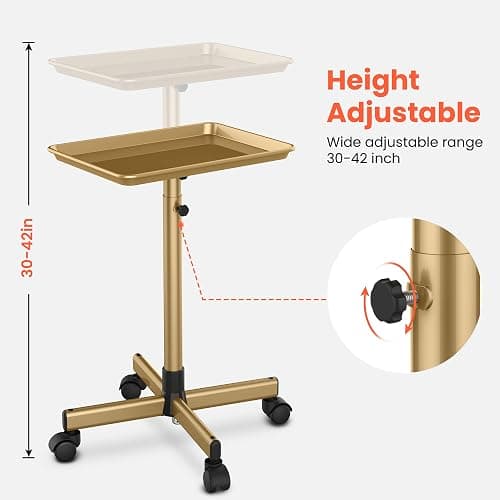 TASALON Premium Salon Tray on Wheels, Aluminum Salon Rolling Tray Trolley for Salon Essentials, Adjustable Height Provides Ample Storage for Hairstylist Tray, Tattoo Tray and Clinic Tray Use - Gloden thumbnail 2