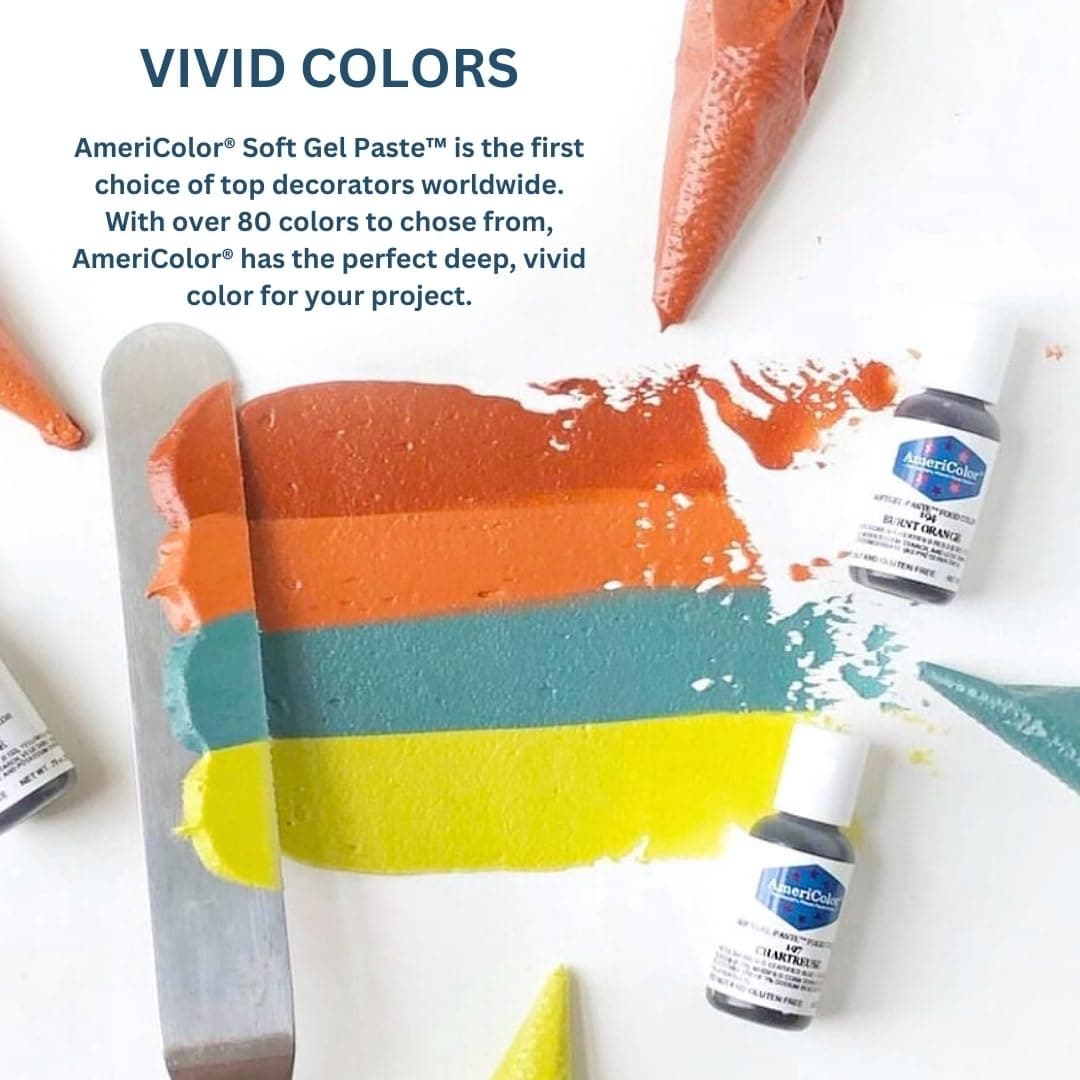 Food Coloring AmeriColor Student Kit, 12 .75 Ounce Bottles Soft Gel Paste Colors thumbnail 6