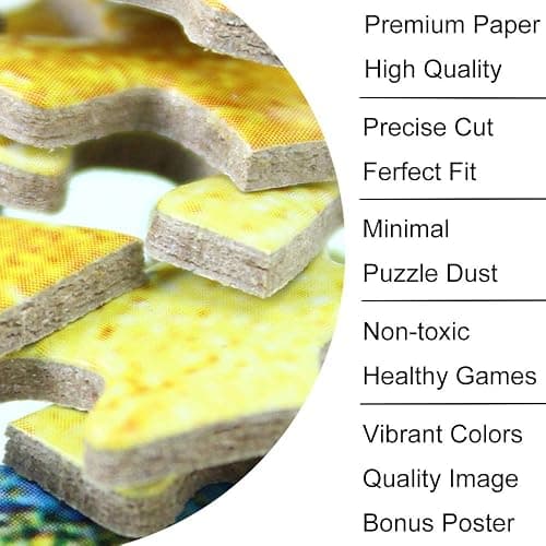 BEIWO Puzzle-Starry Night by Vincent Van Gogh Jigsaw Puzzles, 1000 Piece Puzzles for Adults and Kids (Starry Night, Square-1000 Pieces) thumbnail 7