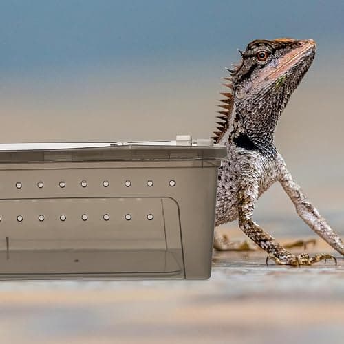 POPETPOP Reptile Terrarium Box 10.24×7.09×4.53In Plastic – Ventilated & Secure for Escape Prevention, Easy Feeding Access Without Disturbance – for Small Reptiles, Insects, Hatchlings, Geckos, Tortois thumbnail 5
