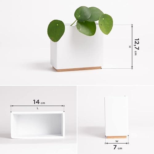 Kazai. Wandvasen -Alma- | Moderne Hängende Blumentöpfe für die Wand | 3-teiliges Übertopf-Set aus hochwertigem Resin für Zimmerpflanzen, Kunstpflanzen, Blumen u.m. | Weiss thumbnail 3