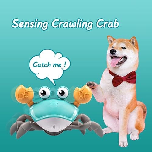 Dog Toys Escaping Crab Crawling Dog Toy with Music Control & Lights, Dancing Crab Dog Toy Obstacle Avoidance Interactive Fun Toys for Puppy/Small/Medium Dogs (Green) thumbnail 6