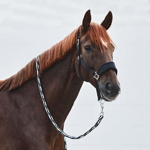  5.   HORZE Kiel Adjustable Horse Halter with Fleece Padding - Black - Horse thumbnail 4