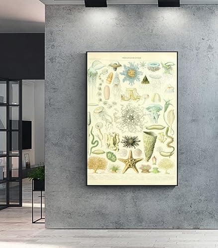 OKRA Adolphe Millot Prints - Pour Tous Posters - Software Bioscience Education Wall Decoration - Vintage Knowledge Posters - Kids Room Kindergarten Frameless Cool Home Decoration (12×18in/30×45cm) thumbnail 2