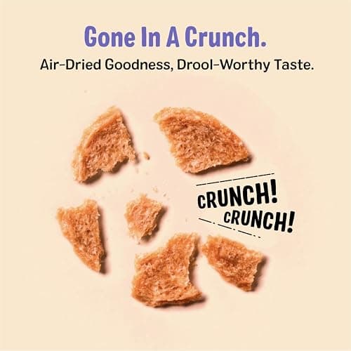 Three Dog Bakery Bark'N Crunch! Chicken & Cheese Chips with 100% Real Chicken - 3.8 oz - Crunchy Treats for Dogs - High Protein Dog Snacks - Grain Free, No Corn or Soy, Limited Ingredient Treats thumbnail 4