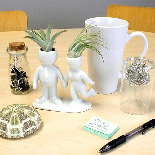 NW Wholesaler 5 Inch White Ceramic Couple Holding Hands People Shaped Planter with Two Live Tillandsia Air Plants - Potted Indoor Air Plants for Home and Office Decor thumbnail 4
