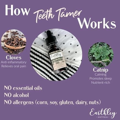 Earthley Wellness Teeth Tamer, Teething Relief for Babies & Kids, Organic Herbal Formula, Soothes Drooling, Gum Discomfort & Irritability, Sugar-Free, 3+ Month Supply (1.69 oz Glass, 500 doses) thumbnail 3