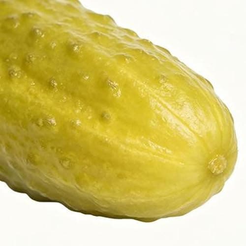 Jumbo Pickle Squishy Slow Rising Squishy Anxiety Relief Fruit Squeeze Sensory Fidget Funny Food-Shaped Design for Party Office, Home thumbnail 7