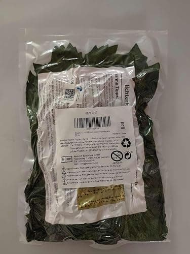 KASZOO 84Ft 12 Pack Artificial Ivy Garland Fake Plants, Vine Hanging Garland with CE Certified 80 LED String Light, Hanging for Home Bedroom Garden Party Wedding Wall Room Decor, Green thumbnail 9