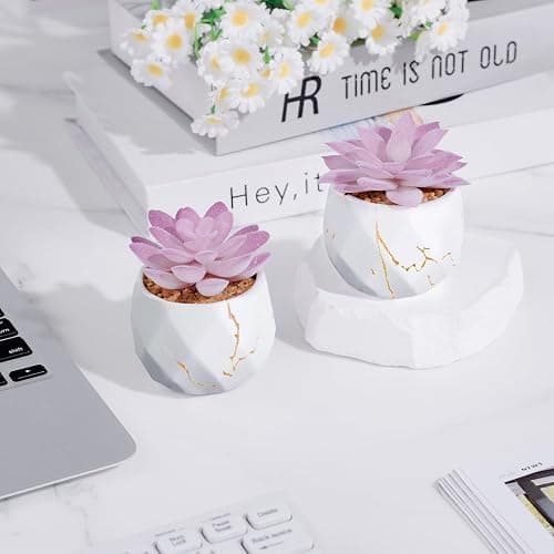 ZENIDA Artificial Succulent Plants in 2 White Ceramic Pots, Cute Fake Plants for Vanity Decor,Office, Desk, Bathroom, Kitchen,Bedroom, Shelves Decor for Women,Girls Gift thumbnail 2