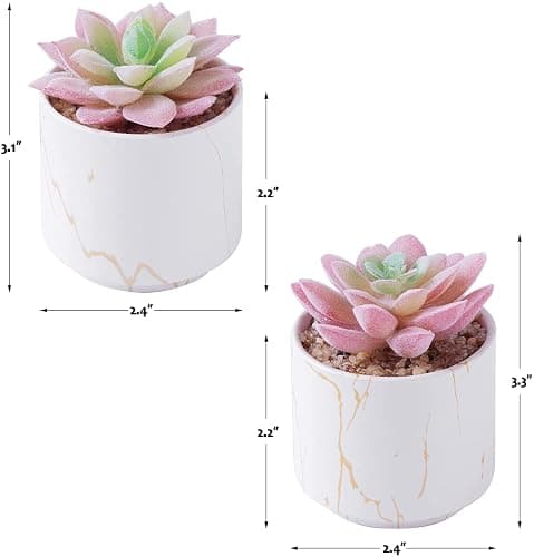zenmag Succulents Plants Artificial, Mini Fake Succulents in White Ceramic Pots for Desk Livingroom Bathroom and Home Decoration Office Decor for Women Set of 2 Artificial Succulents thumbnail 3