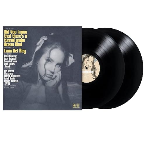 Did you know that there’s a tunnel under Ocean Blvd[2 LP] - Image 1