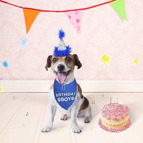 BINGPET Dog Birthday Party Supplies,Dog Birthday Hat Bandana Set,Soft Birthday Boy Triangle Scarf and Number Hat, Cute Birthday Party Supplies with 0-8 Figures for Small Medium Large Dogs Pets thumbnail 7