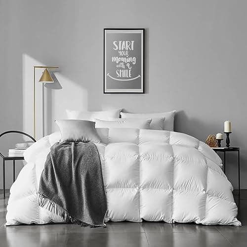 APSMILE Queen Size Feathers Down Comforter - Ultra Soft All Seasons 100% Organic Cotton Feathers Down Duvet Insert Medium Warm Quilted Bed Comforter with Corner Tabs (90x90,Ivory White) - Image 1