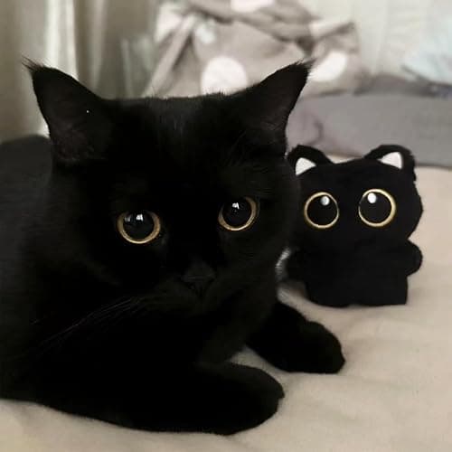 Fuerxy Black Cat Bag Charm, Black Plush Gifts for Handbags Backpacks Purse Keychain Accessories Charm Cat Lover Gifts thumbnail 3