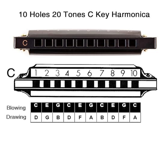 EastRock Blues Harmonica Mouth Organ 10 Hole C Key with Case, Diatonic Harmonica for Professional Player, Beginner, Students gifts, Adult, Friends, Gift Black thumbnail 6