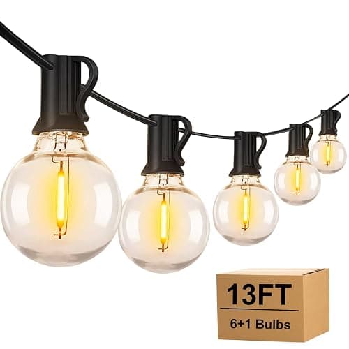 TAICORE Outdoor String Lights with G40 Clear Globe Bulbs, Black Cord, Waterproof LED Edison Filament Decorative Lighting for Patio, Garden, Backyard (G40 Bulbs, 13FT) - Image 1