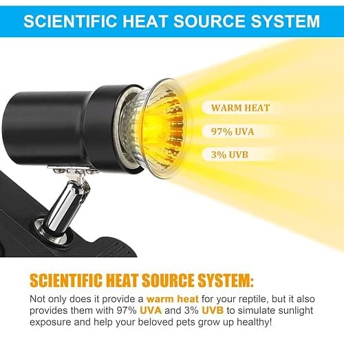 DaToo Reptile Heat Lamp Rotatable Turtle Heating Light with 50W UVA UVB Heat Bulb Simulated Sunlight Basking Spot Lamp with Clamp for Reptiles Lizard Amphibian Bearded Dragon Snake thumbnail 3