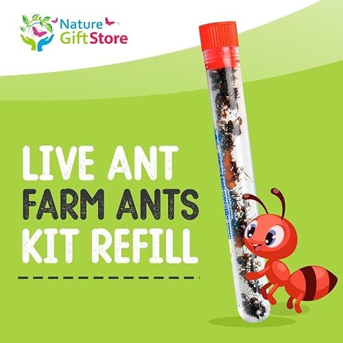 Nature Gift Store 1 Tube of Live Ants Plus Ant Food and Honey Treat: Ant Habitat Kit Refill thumbnail 2