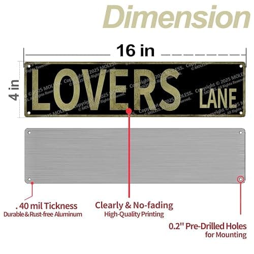 “Lovers Lane" street sign wall decor 16x4″ thumbnail 3