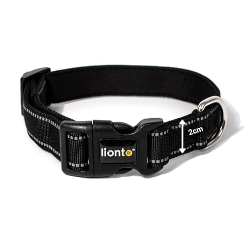 First Collar thumbnail 4