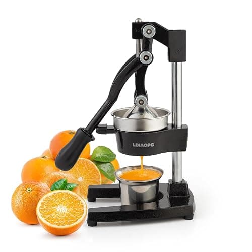 Cast Iron manual juicer - Image 1