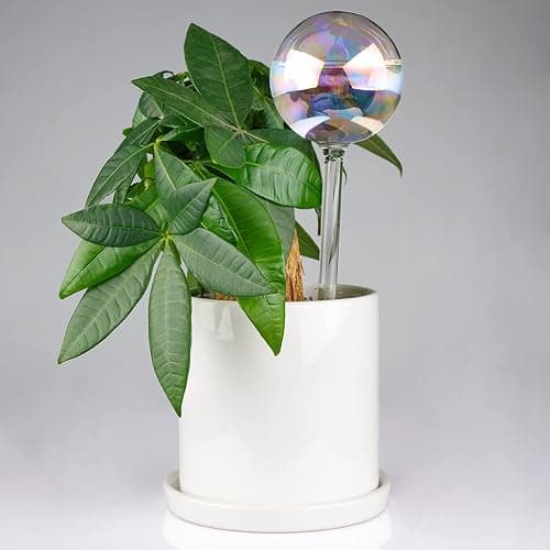 [6 PCS] Light Iridescent Rainbow Gradient Color Clear Glass Self-Watering System Spikes, Automatic Plant Waterer Bulbs thumbnail 6