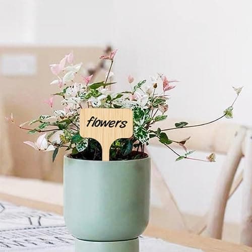 KINGLAKE GARDEN Bamboo Plant Labels,Plant Labels Garden Tags 60 Pack T-Type Wooden Plant Sign Tags Vegetable Garden Markers for Plants(6.5 X 10 cm) thumbnail 8