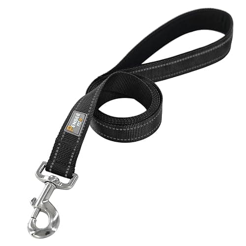 PenSeepet 6 FT Basic Dog Leash for Medium Dogs,Black | Padded Handle,Metal D-Ring,Heavy Duty Nylon Webbing, for Walking & Training thumbnail 2