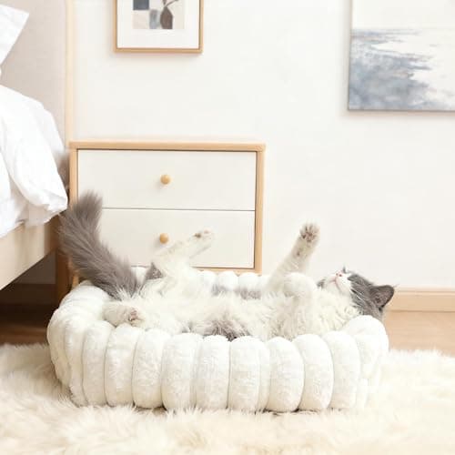 Dog Beds for Very Small Dogs & Cats - Washable Rectangle Comfy Sleeping Puppy Bed Cuddler with Anti-Slip Bottom, Soft Calming Plush Pet Sofa Bed for Indoor Kittens & Puppies, XS (18"x14"x4", Cream) thumbnail 6
