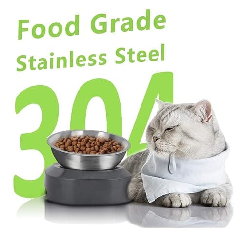 AYADA Raised Cat Food Bowl, Stainless Steel Cat Dish for Food Water Anti Vomiting Elevated with Stand Ergonomic Lifted Slanted Tilted 15 Angle Metal Single Kitty Kitten Wet Food Bowl Pet Bowl thumbnail 4