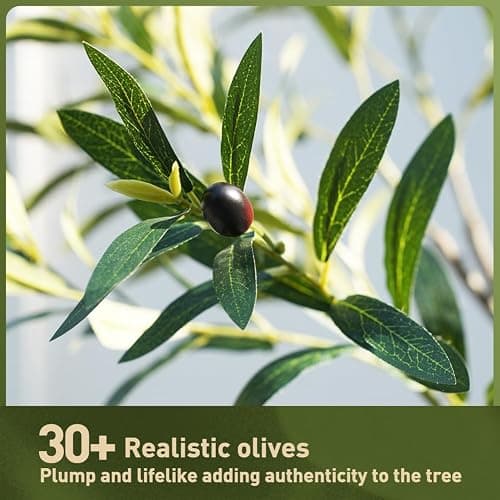 VeriNatural Artificial Olive Tree 5ft, Tall Faux Olive Tree with White Planter, UV-Resistant Fake Plants for Indoor and Outdoor Decor, Realistic Potted Plants for Home,Office & Living Room Decor VN158 thumbnail 7