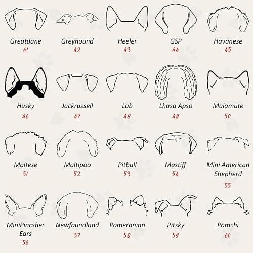 Dog Embroidered Sweatshirt thumbnail 5