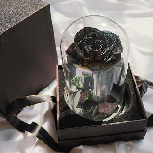 Preserved Roses Black Roses in Glass Dome, Medium, Preserved Flowers for Mothers Day, Gifts for Women thumbnail 2