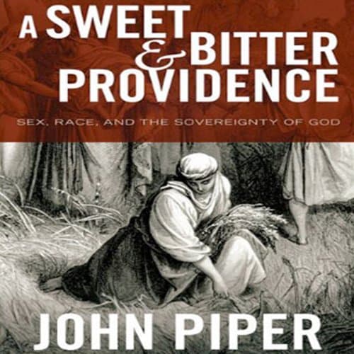 A Sweet & Bitter Providence: Sex, Race, and the Sovereignty of God - Image 1